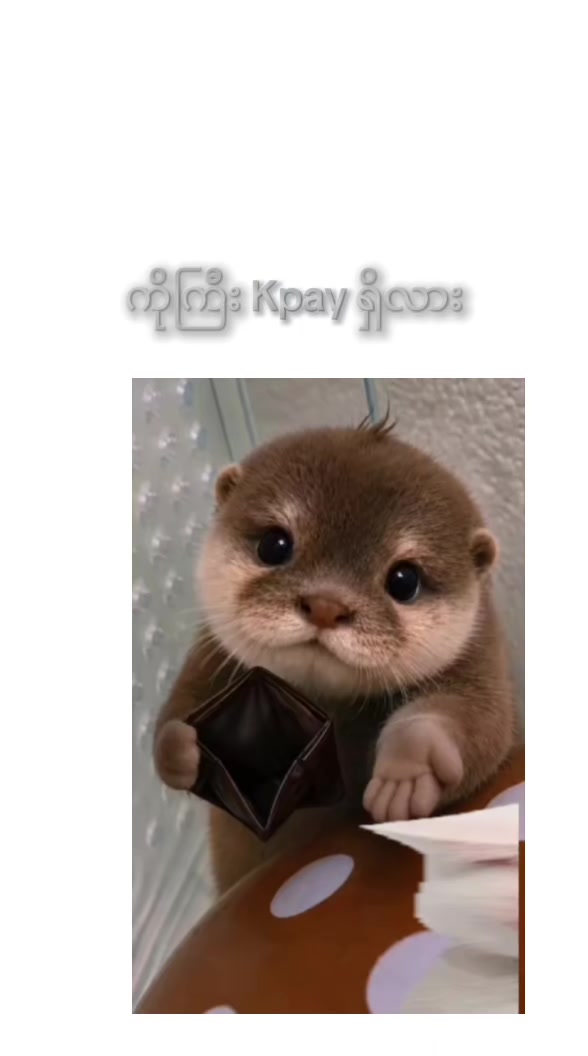 @GU GU 1+1= 1