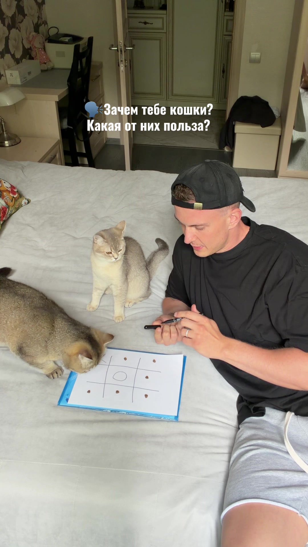 @котопапа