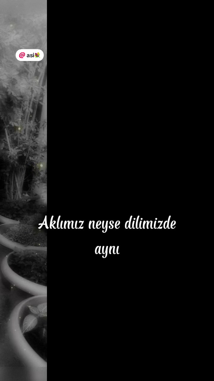 @Savaş
