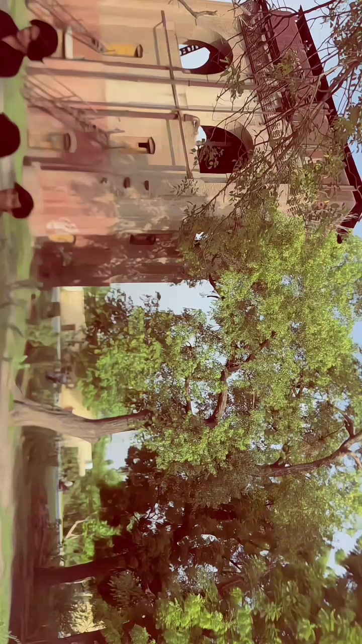 @shanichishti9