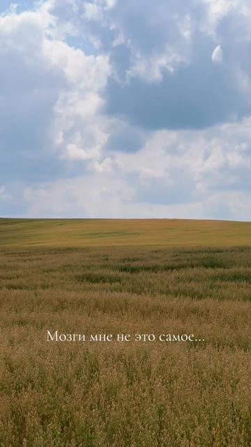 @Патрисия 🌸