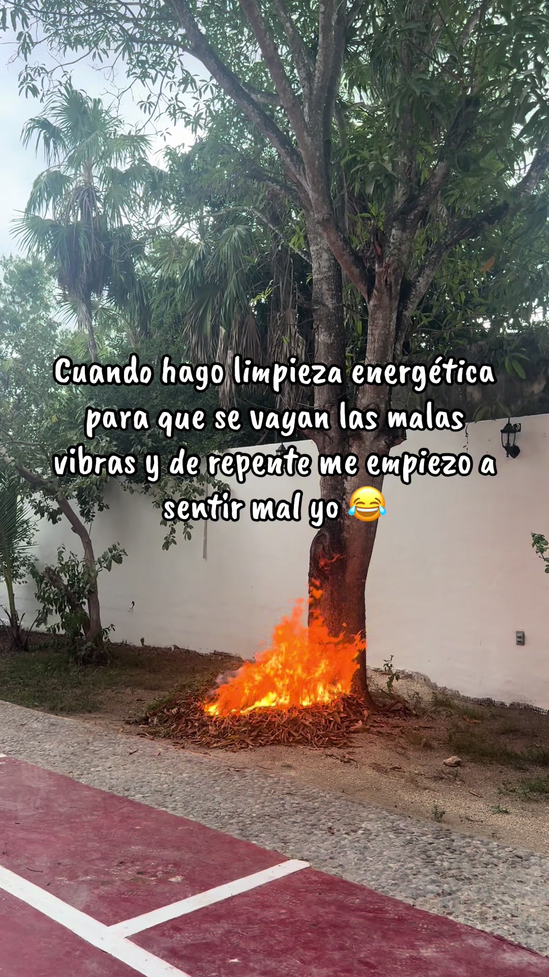 @Adriana Lara