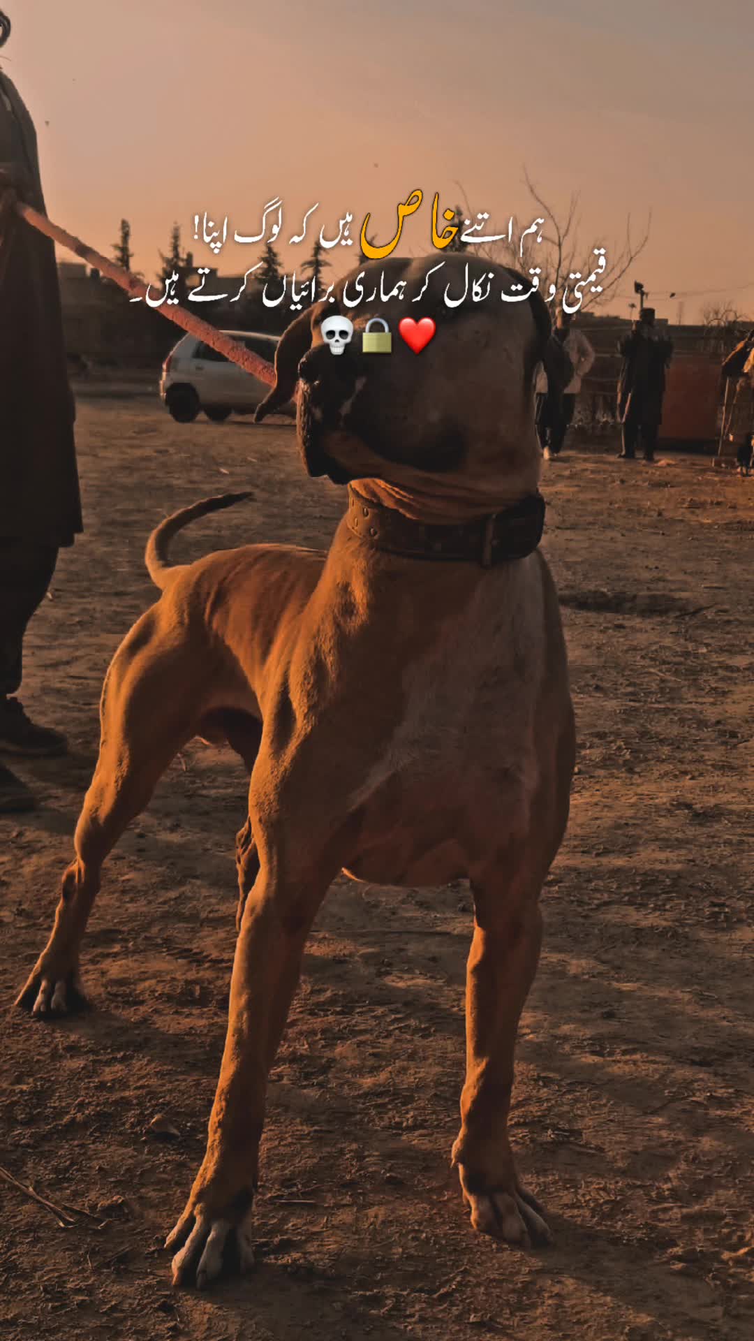 @Jaan Khilji