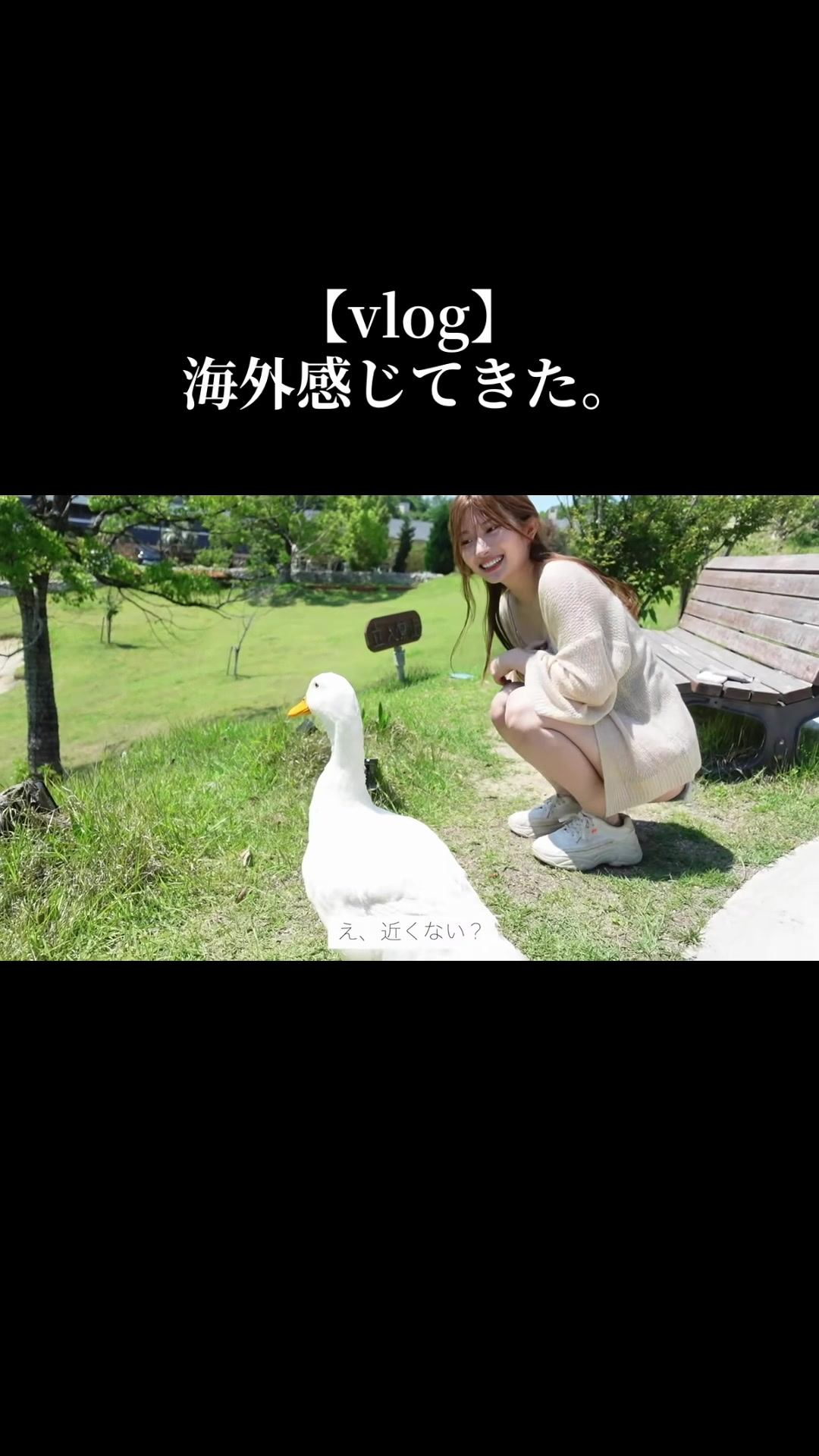 @たいせい🦍