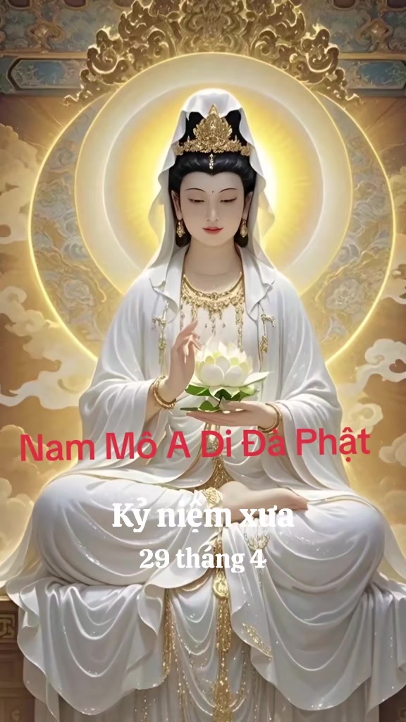 @nguyễn dung