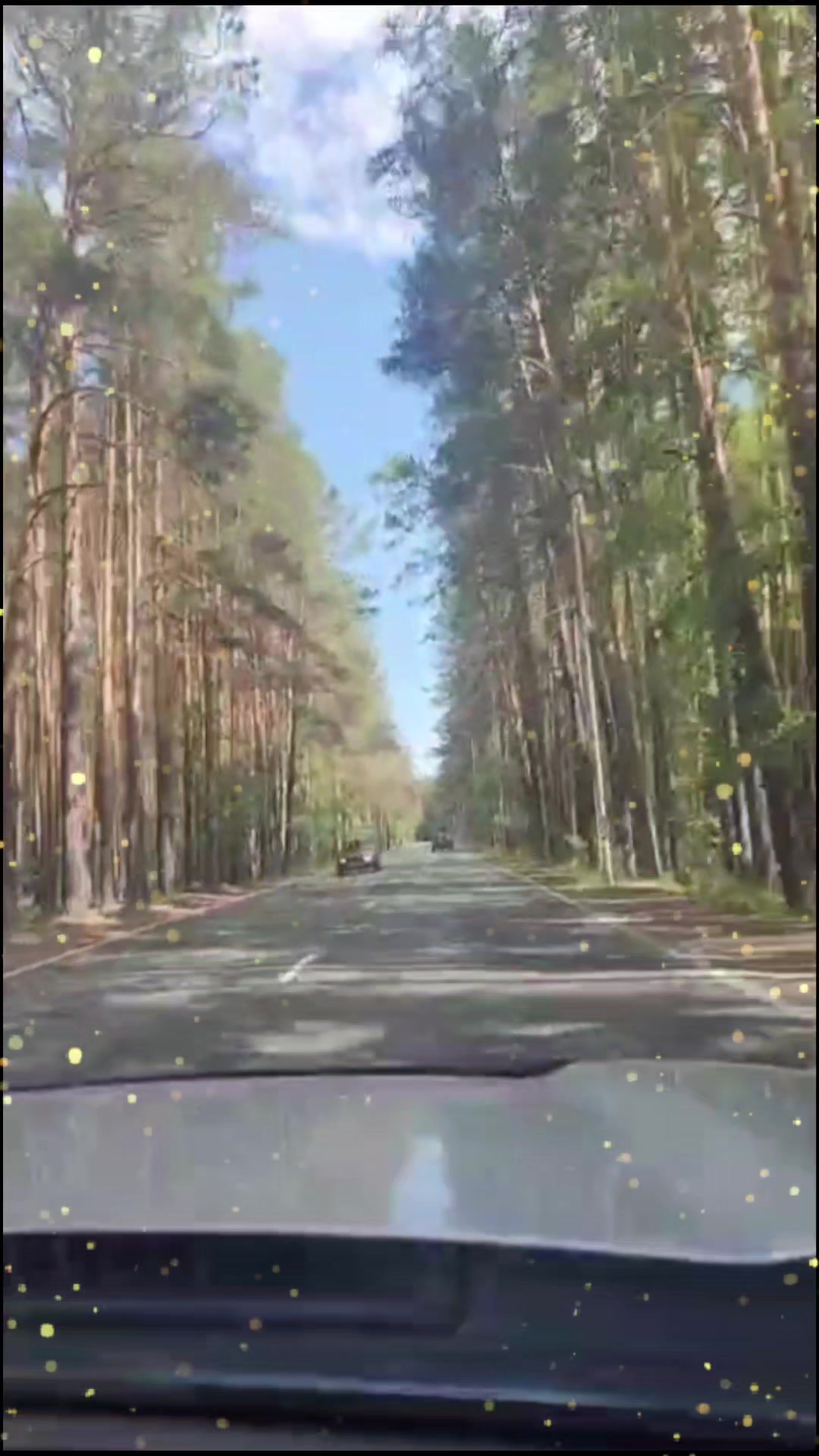 @Александр