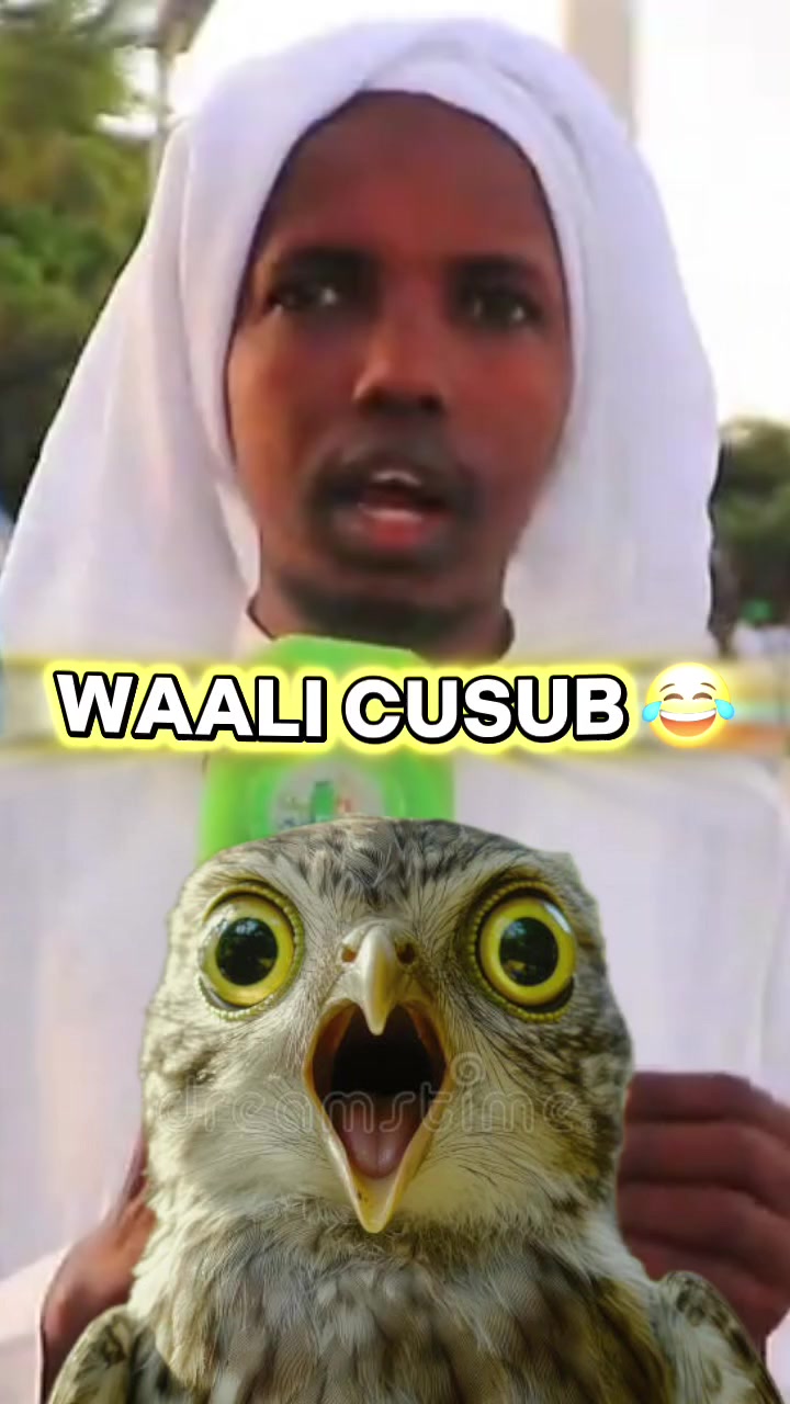 @igusoodhowoow