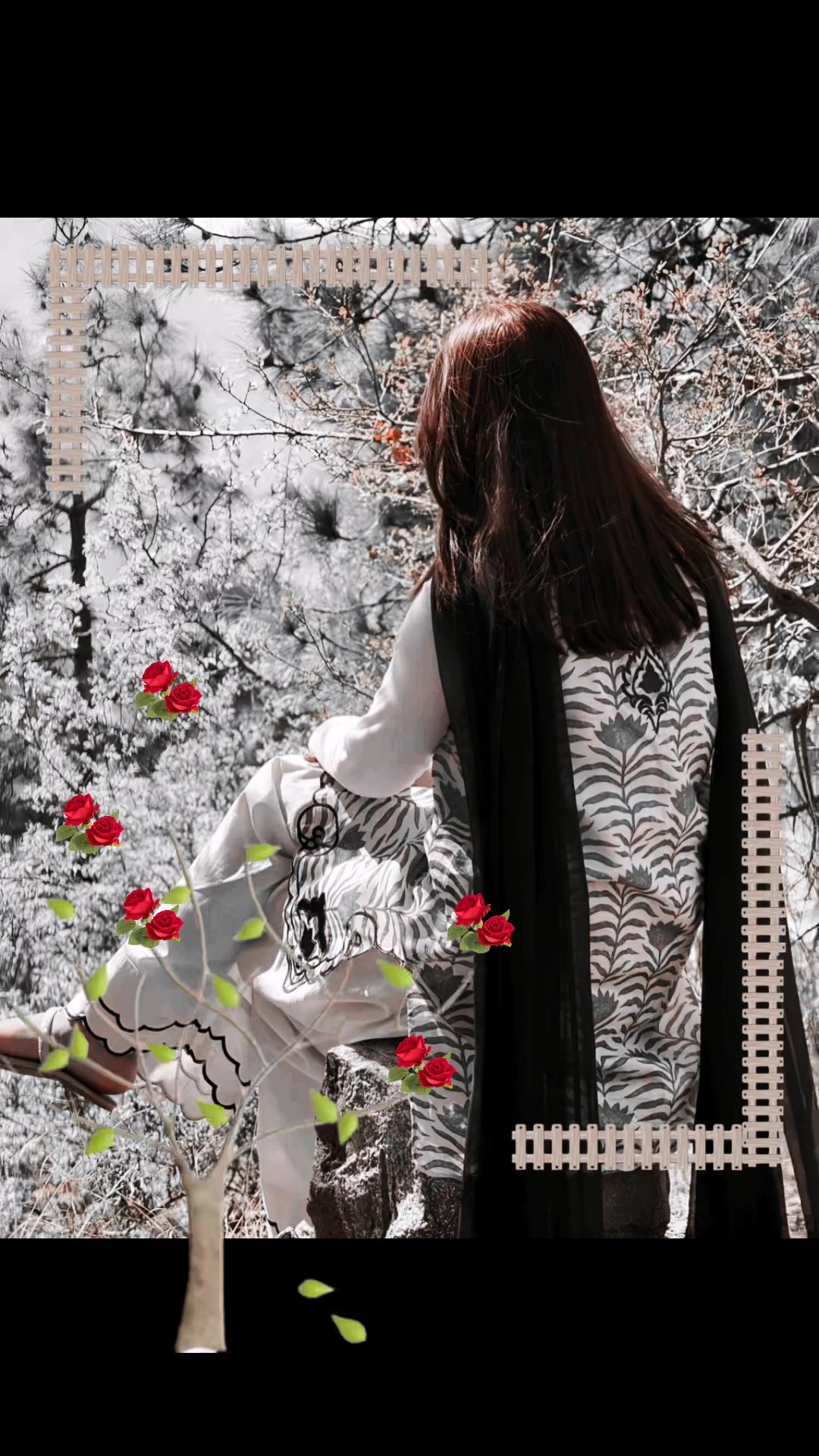 @kashmeri