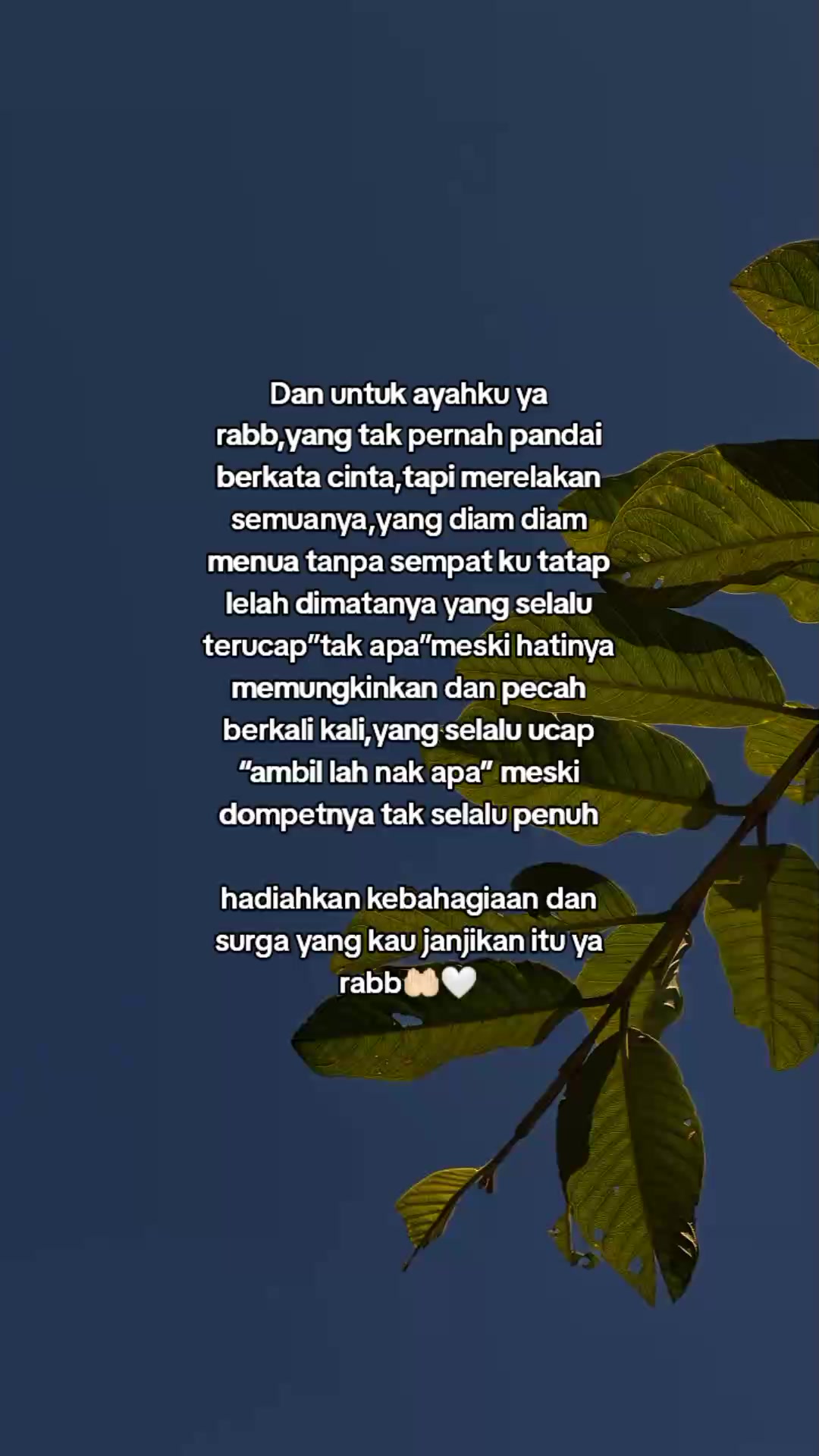 @🦋