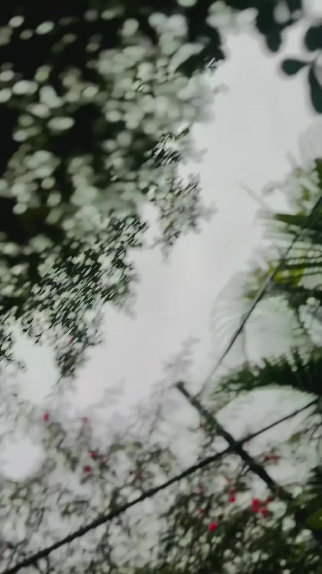 @_nishahossain00