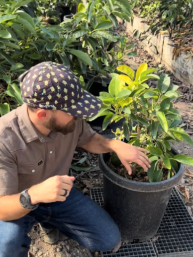 @Grow Garden | Plantas