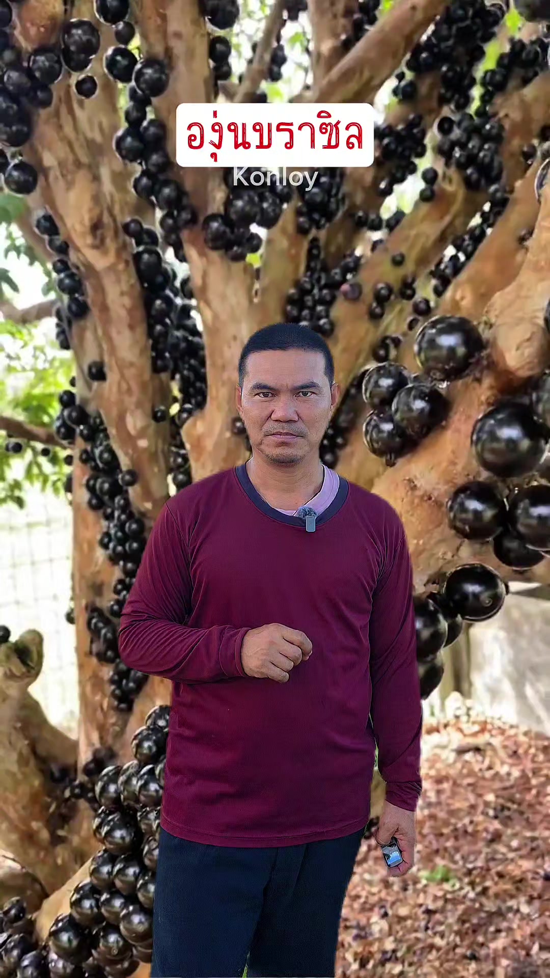 @Konloy