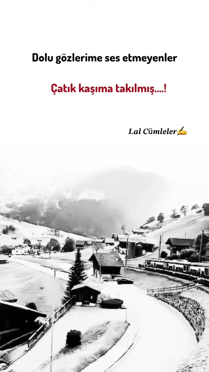 @𝑳𝒂𝒍 𝑪&uuml;𝒎𝒍𝒆𝒍𝒆𝒓✍️