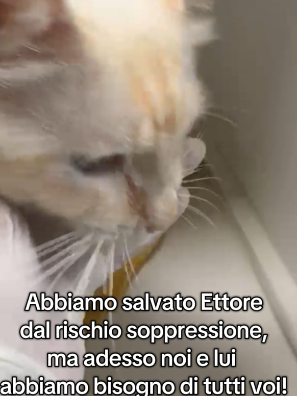@ENPA RUVO