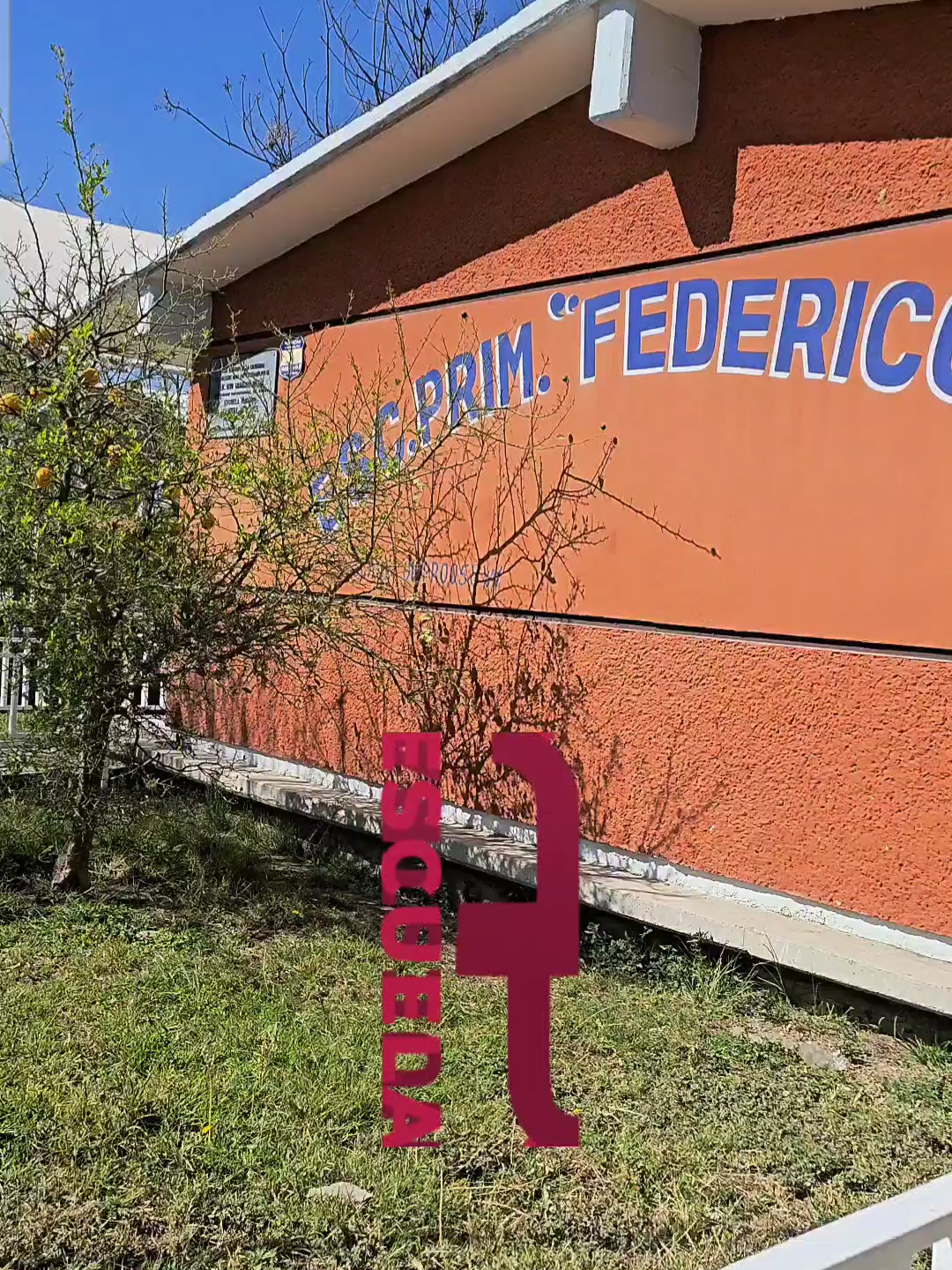 @Aldo Ruiz