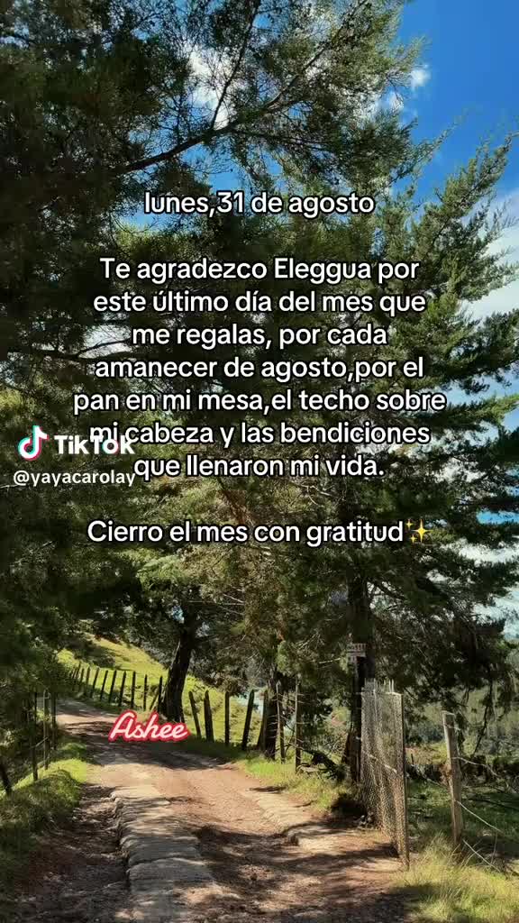 @Gatojaguar