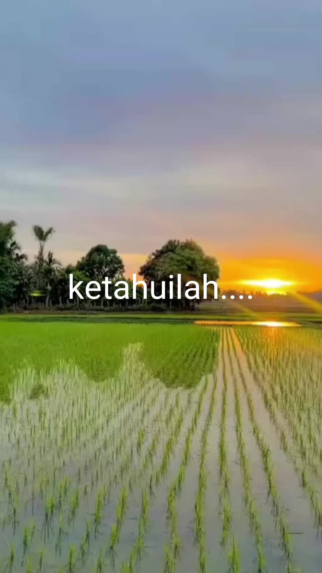 @Andre_Ruhiat