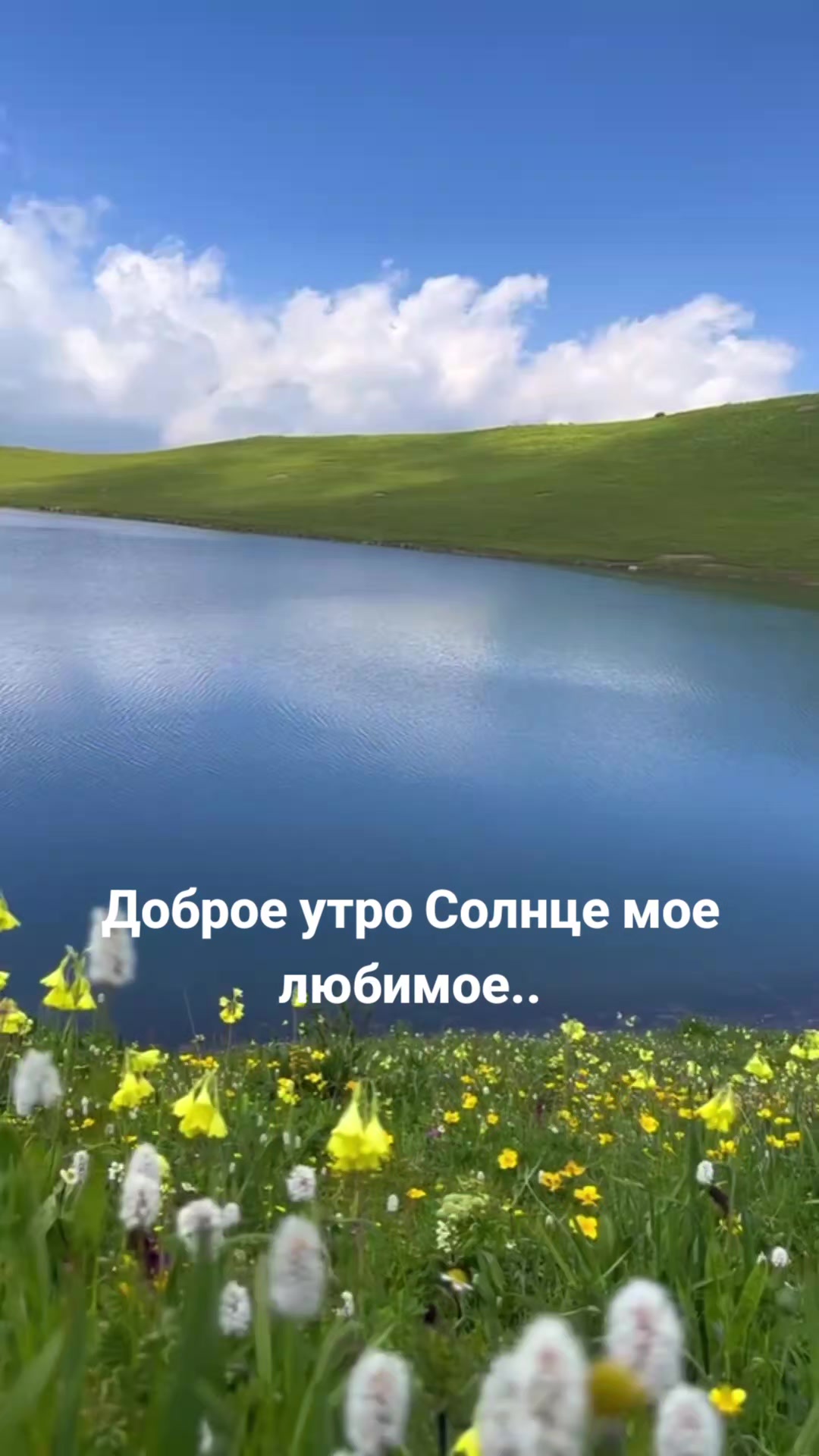 @Мила Телец.