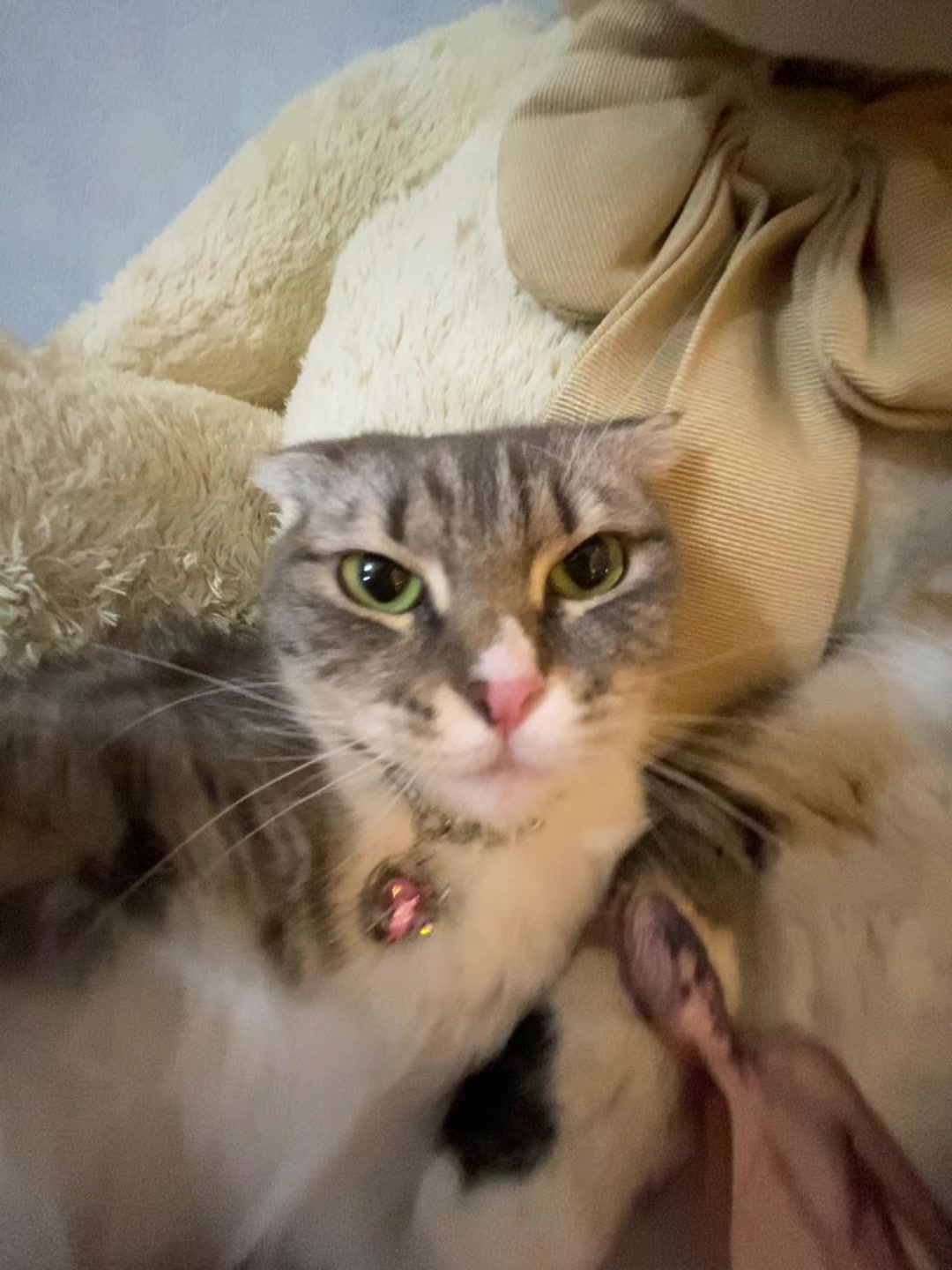@Chloe 𝜗𝜚 Freya