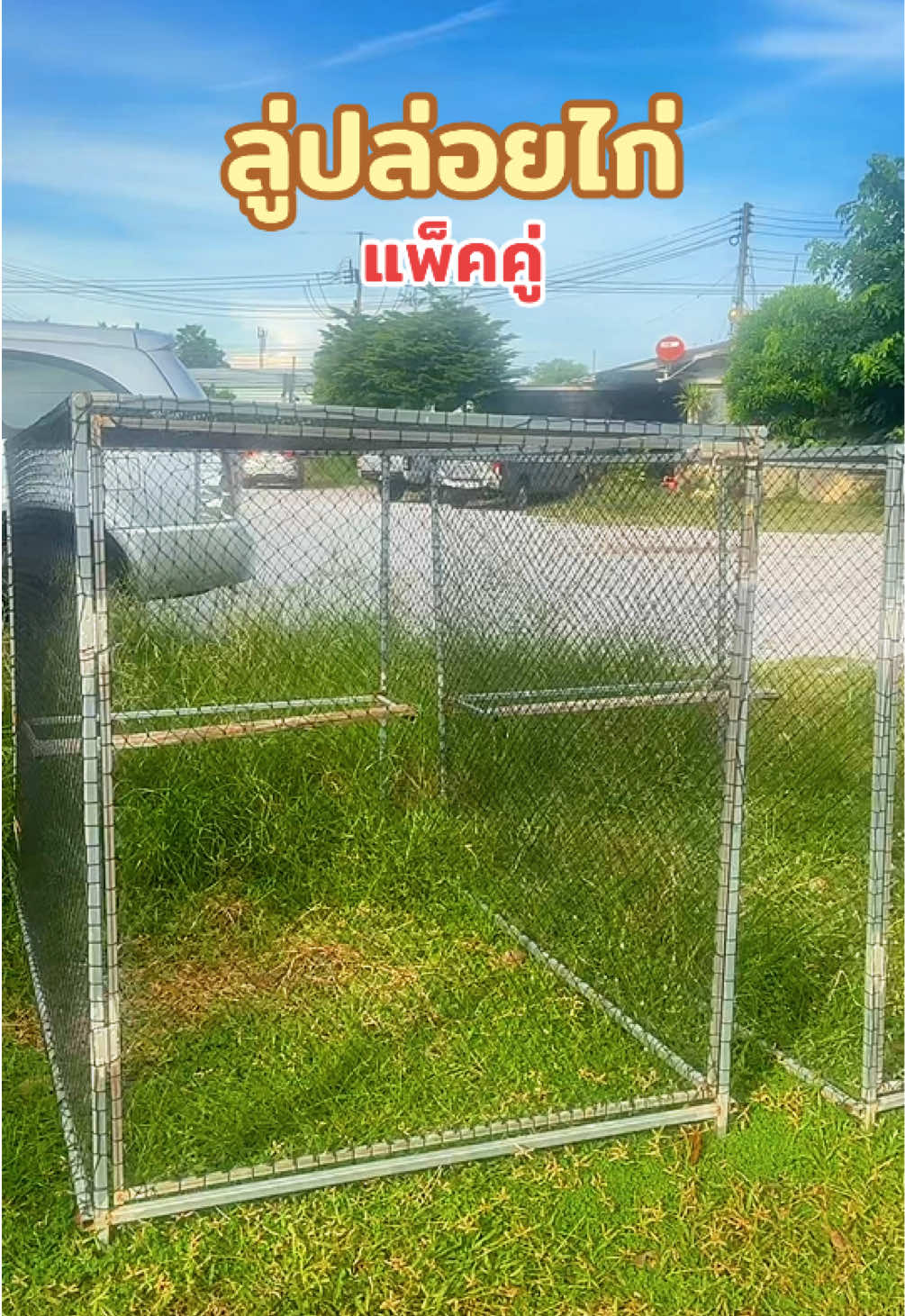 @วุดดี้ รีวิว56