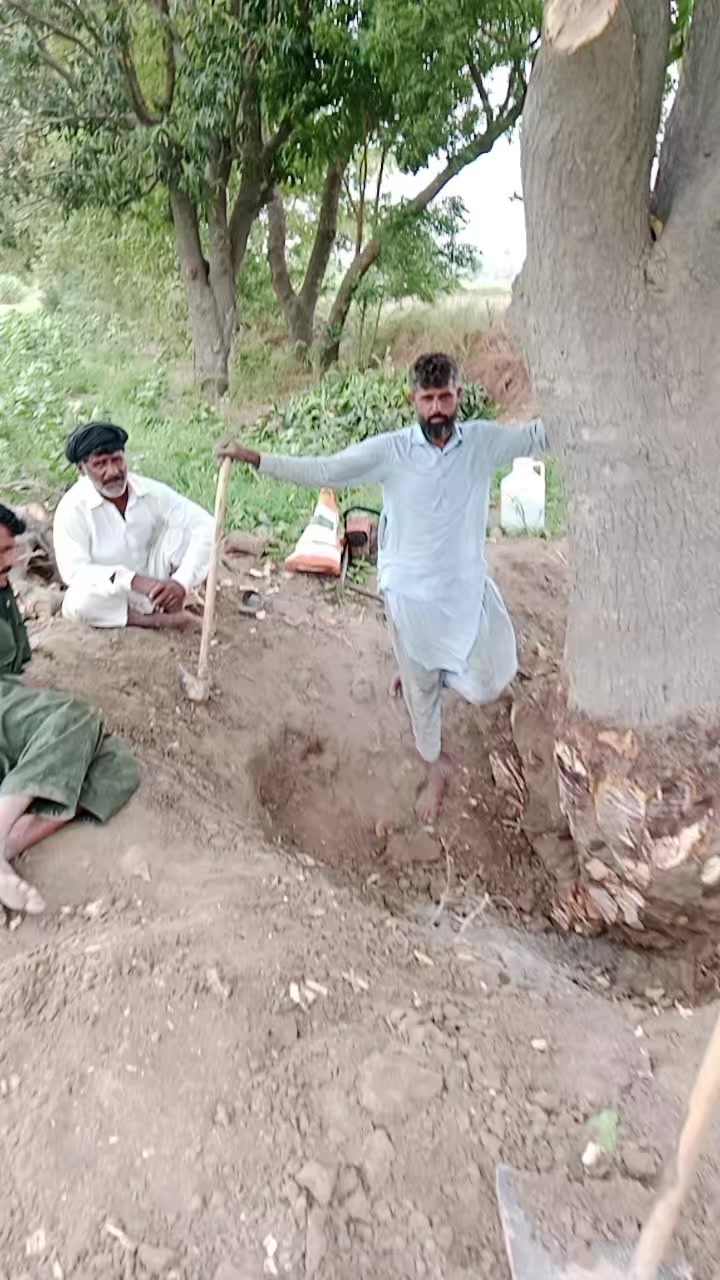 @Malik zahid awan