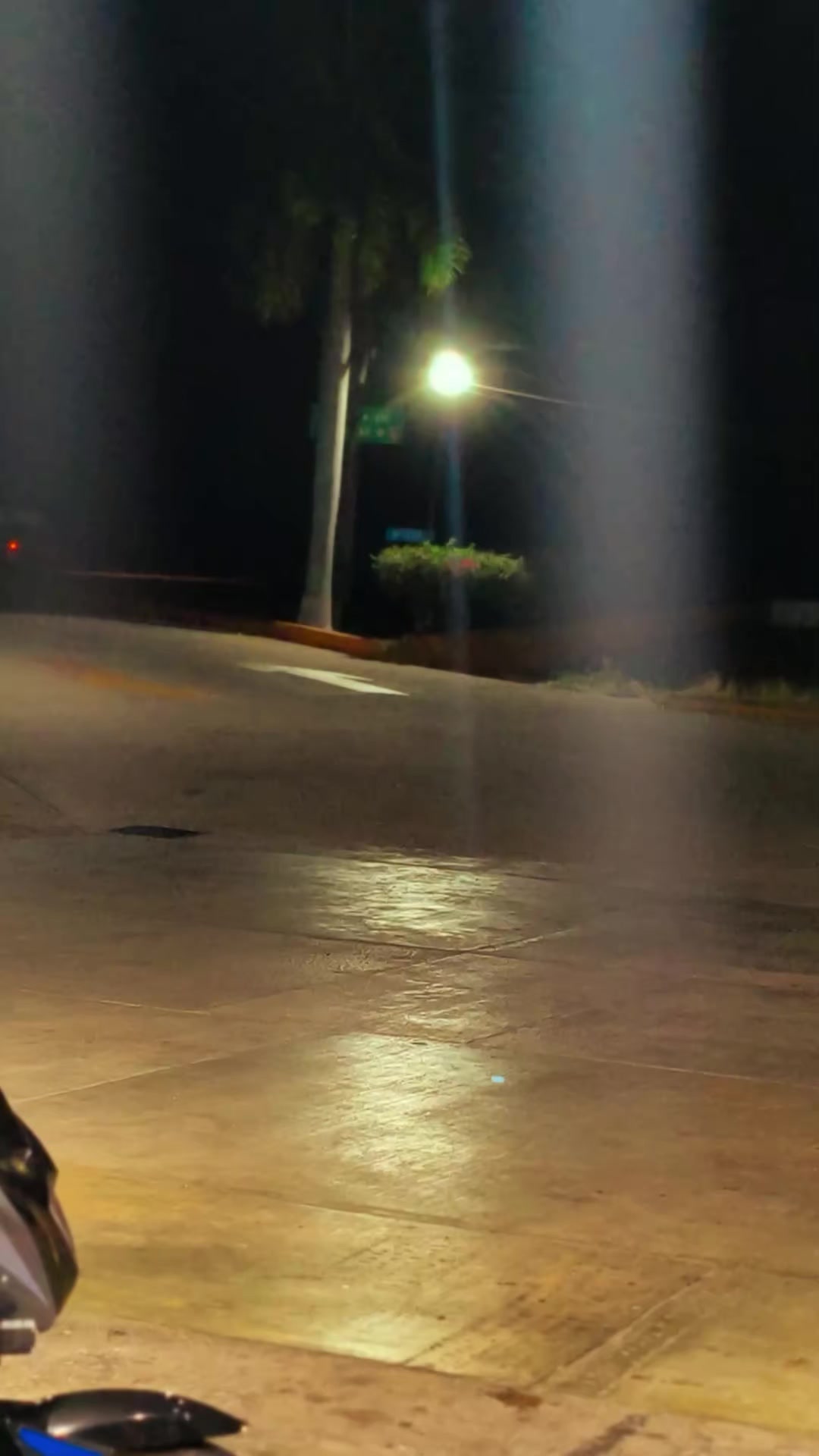 @🕸️EL_FLORES 🕷️