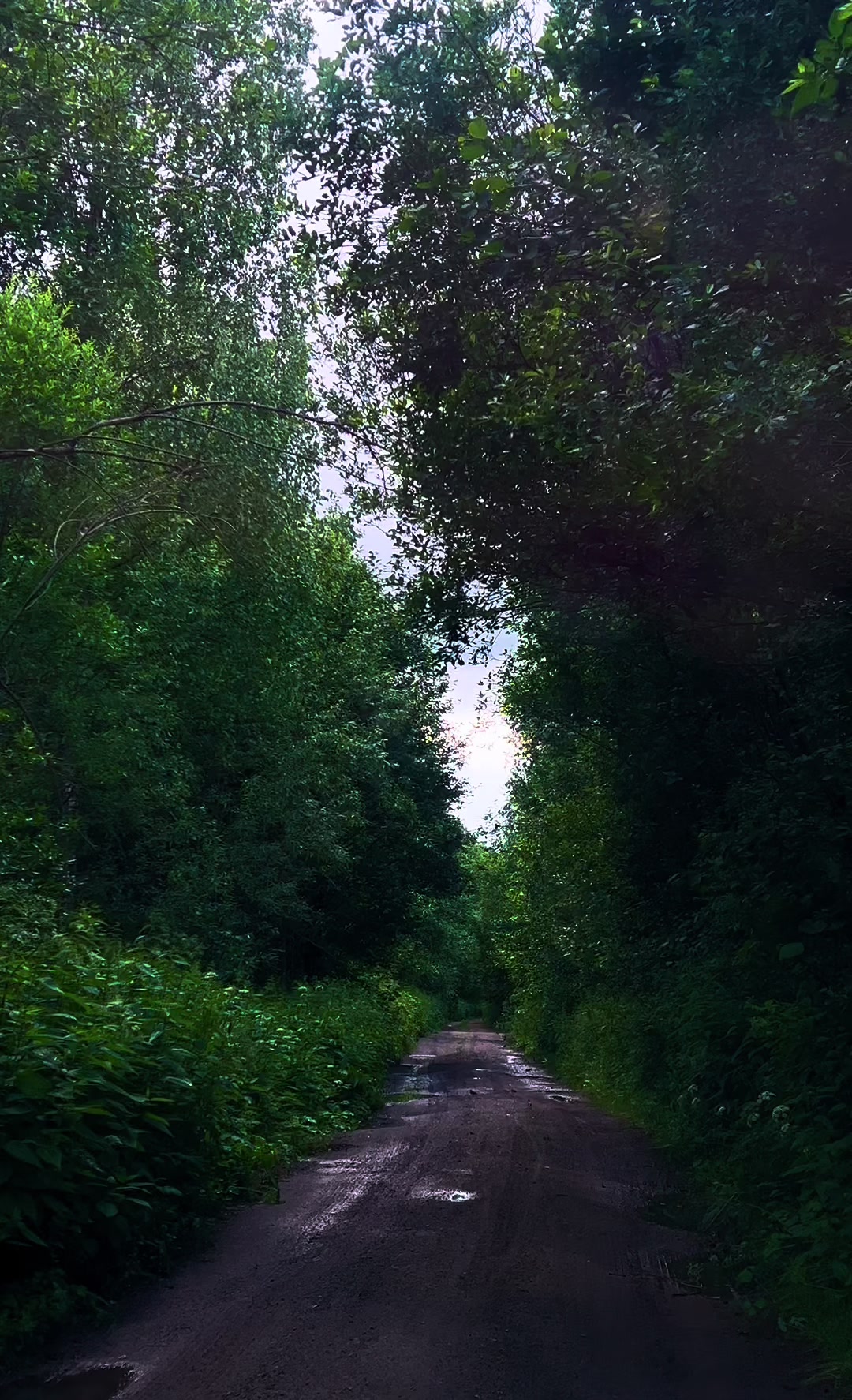 @Крис