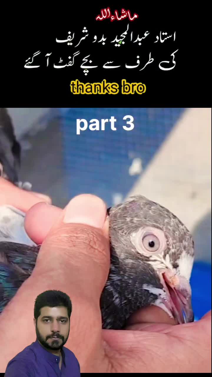 @amrakalan5