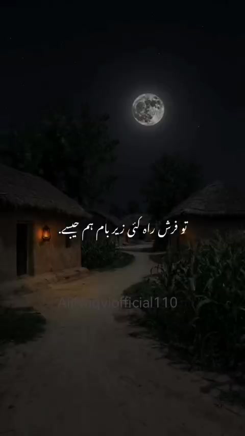 @Alinaqvi110🦅