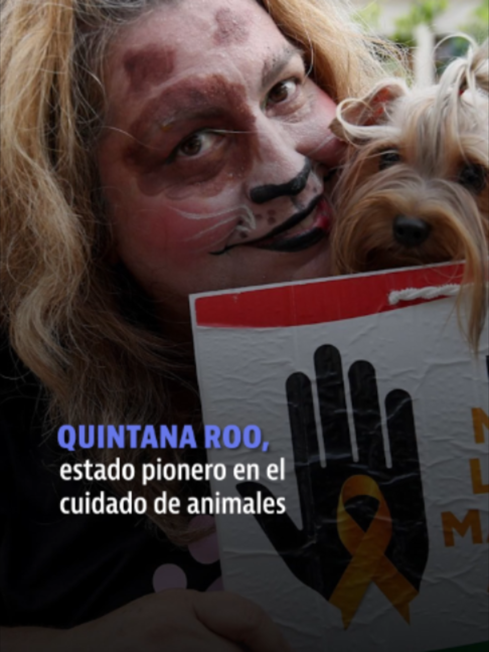 @elheraldodemexico