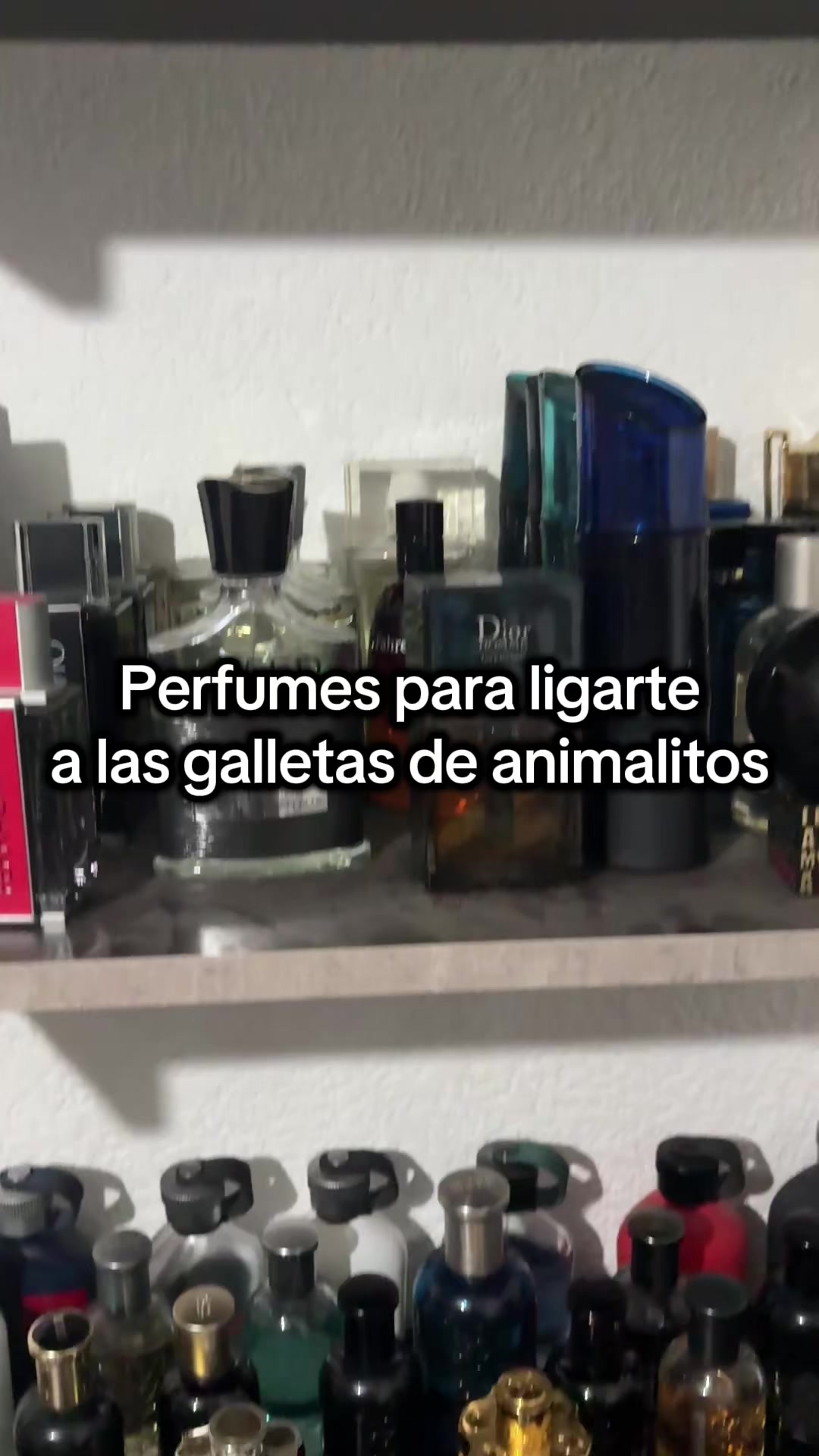 @DonParfum😎