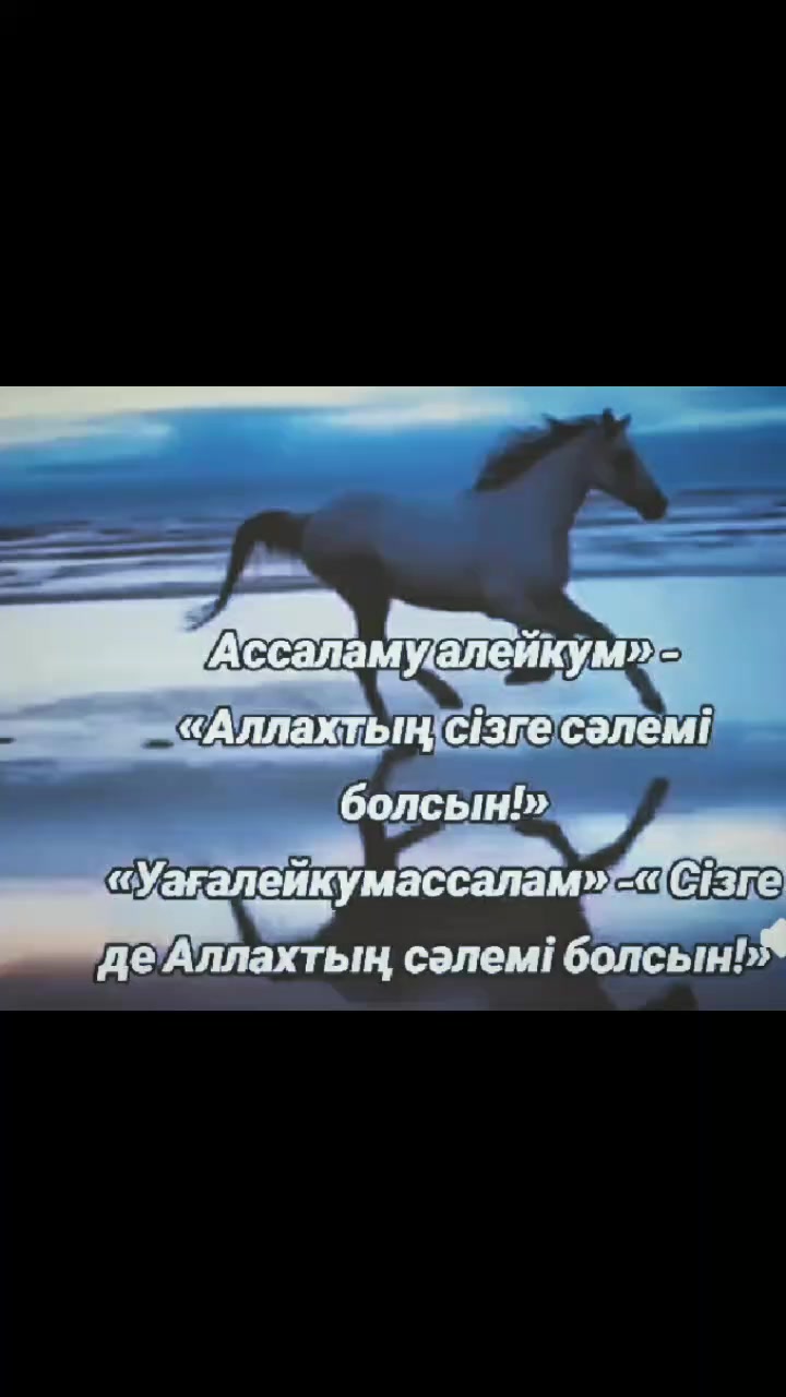 @Тойгул