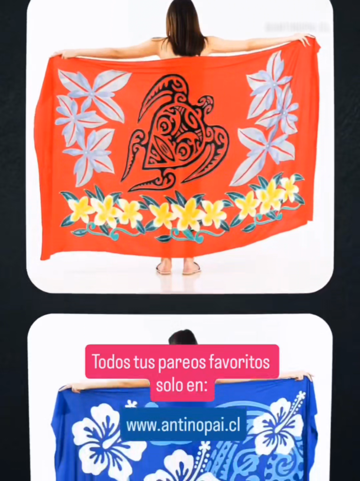 @www.antinopai.cl