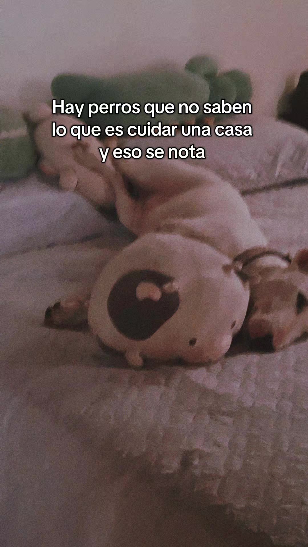 @A ♡
