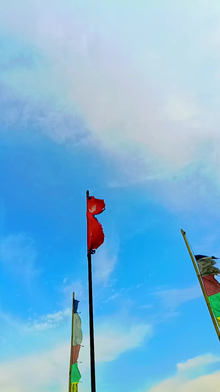 @sahsumesh