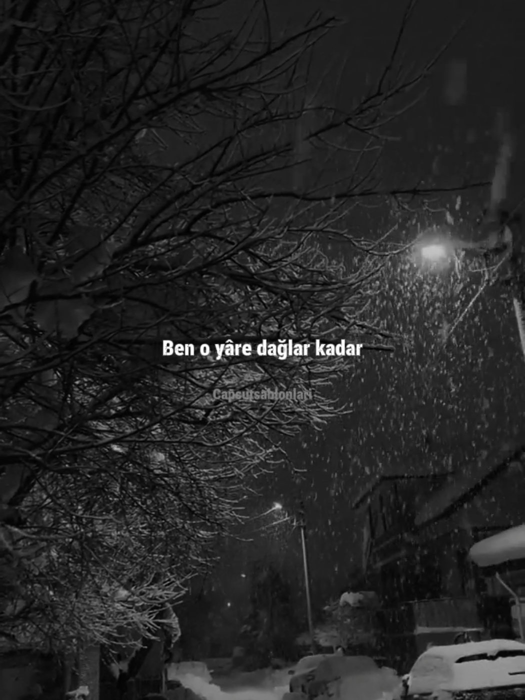 @Capcut Şablonları