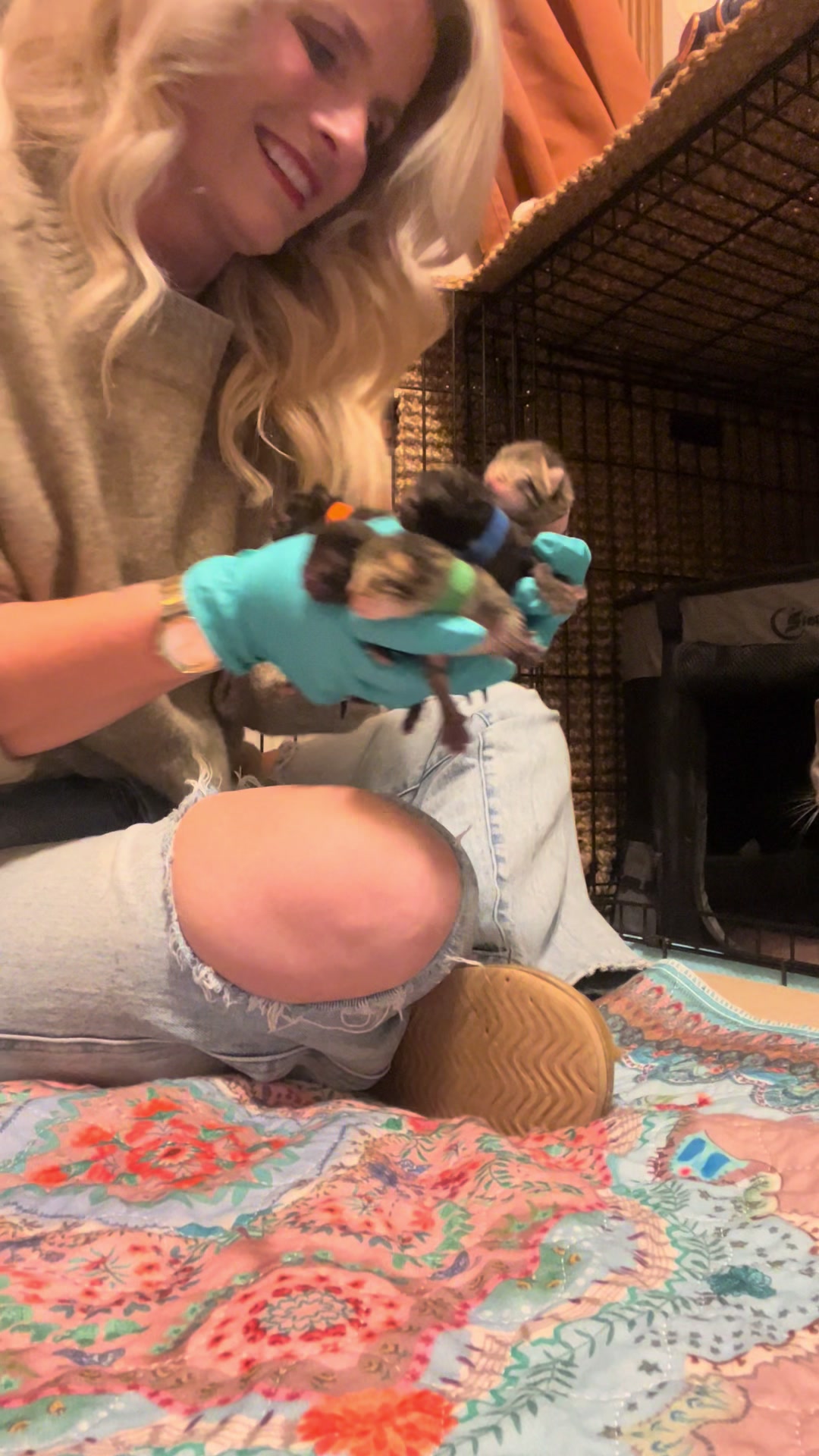 @Kitten.mama