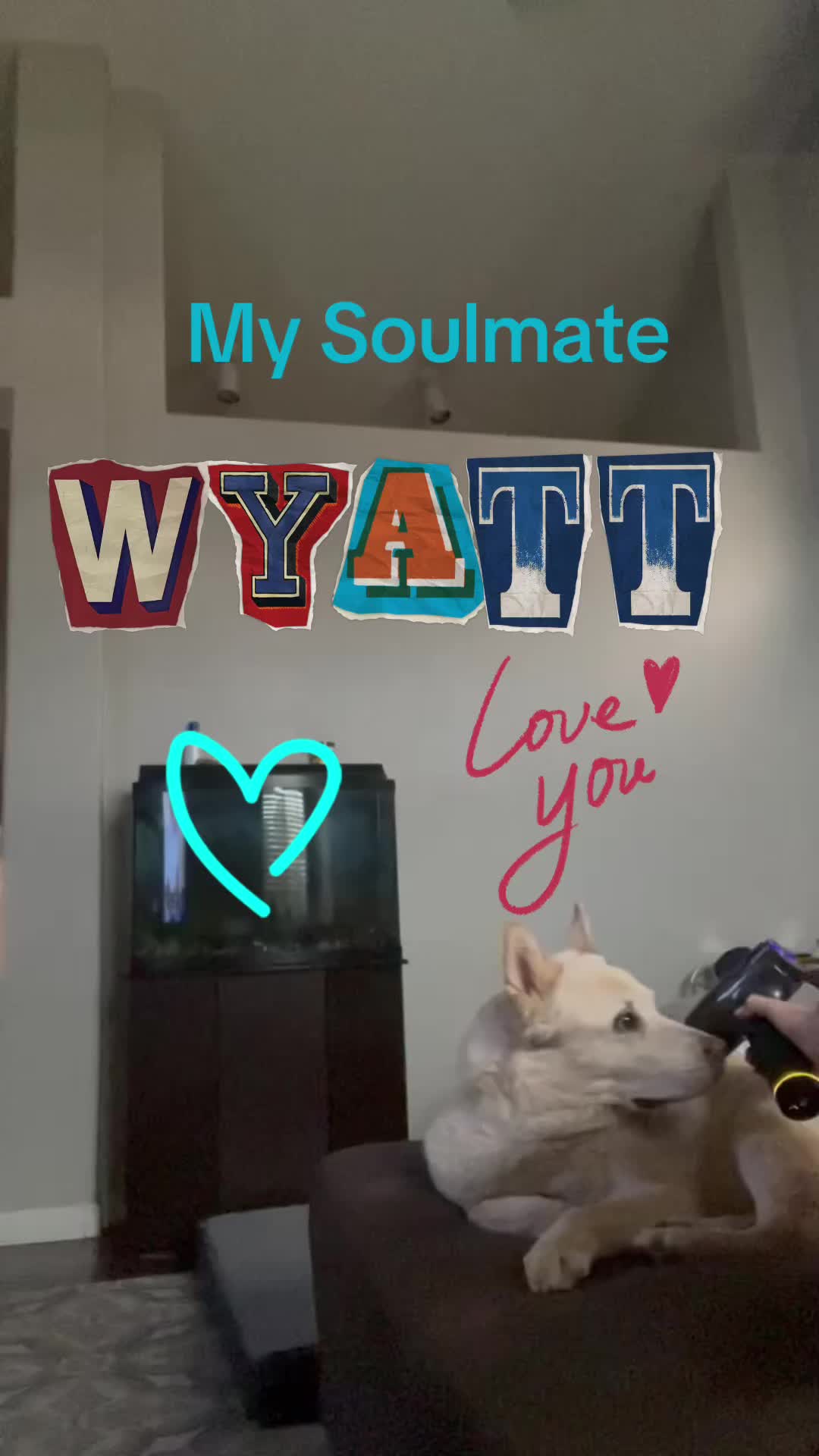 @Jmc33