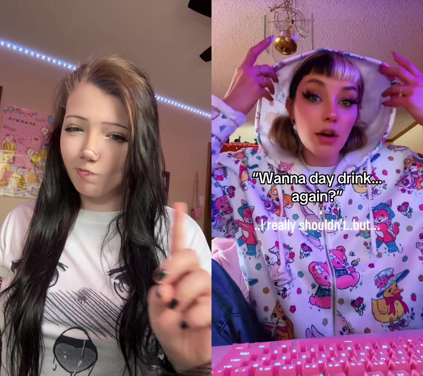 @kitty