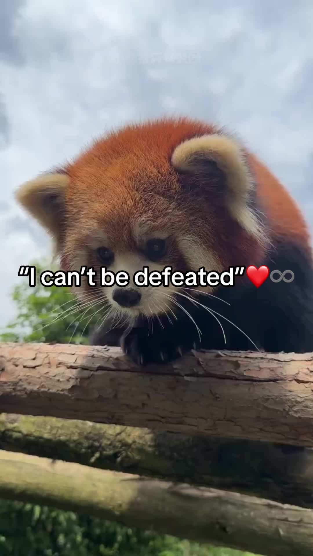 @donsmokeyy