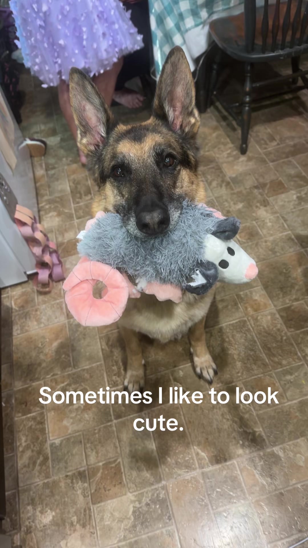 @💟ᴮʳᵘʰʰʰʰʰ💟