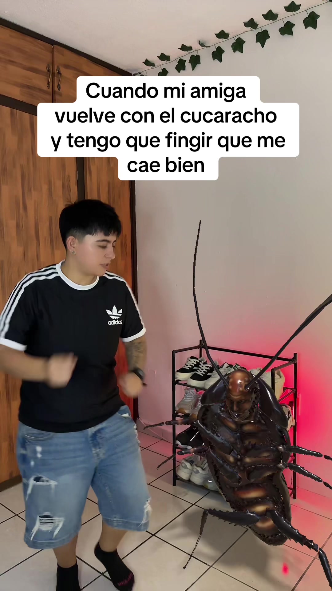 @Shane 💎