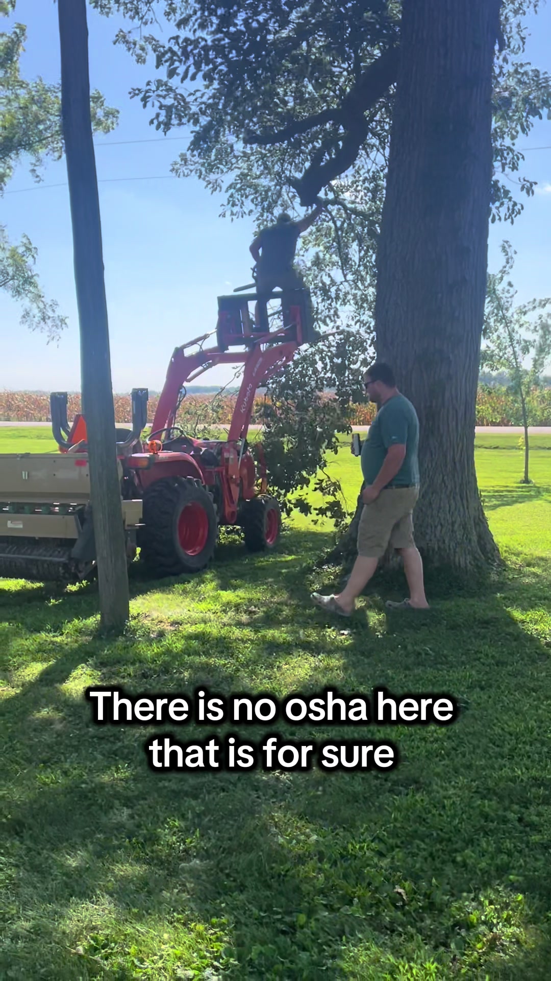 @Maple Leaf Livestock