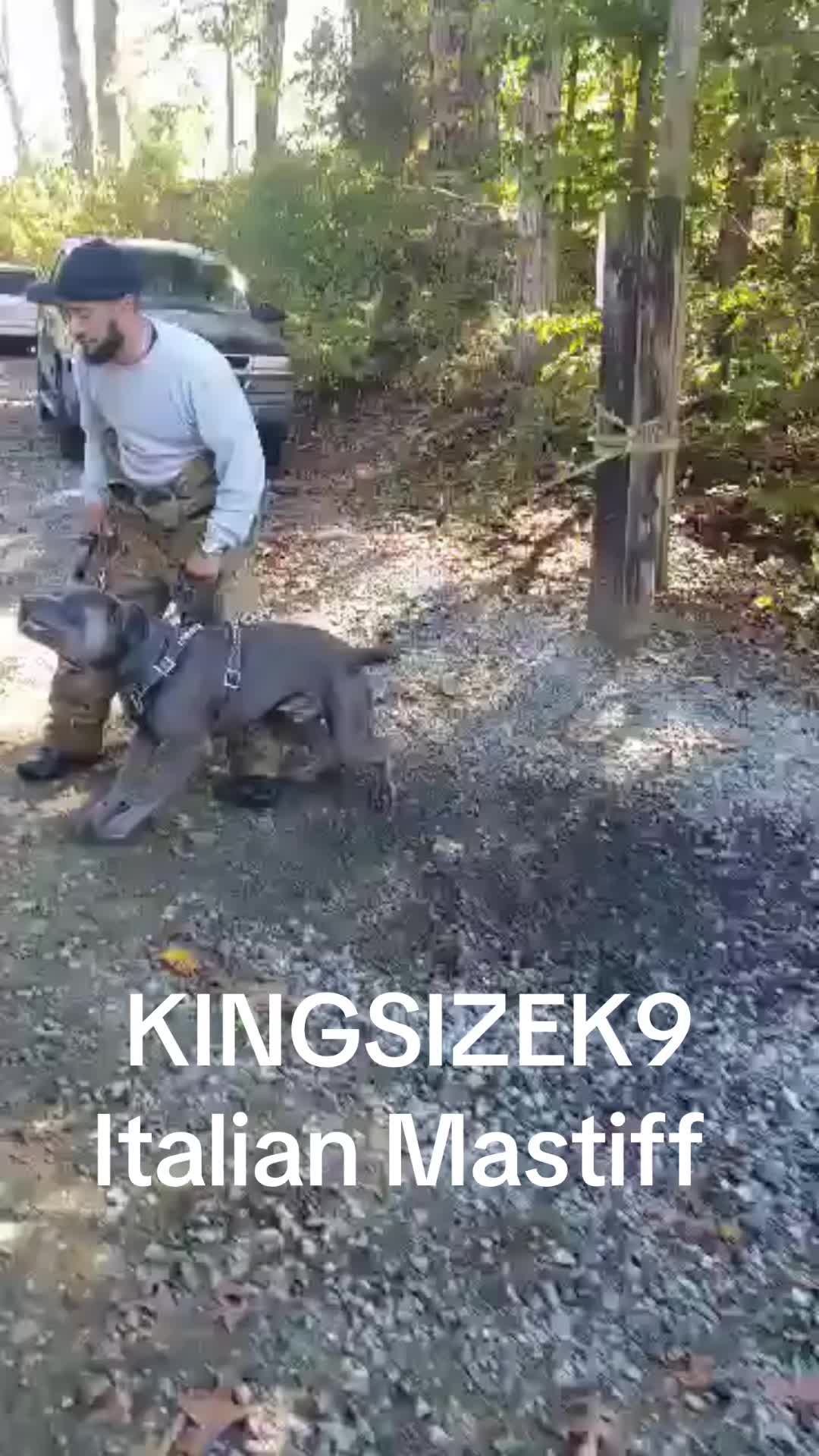 @KingCorso
