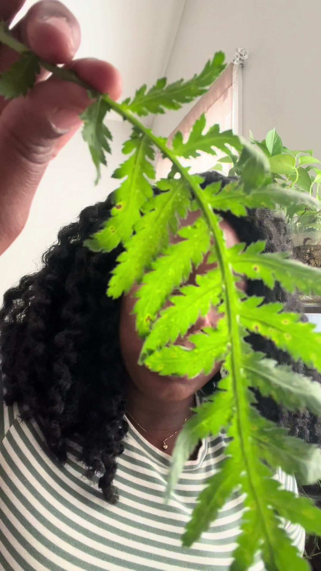 @Essencetheherbalist