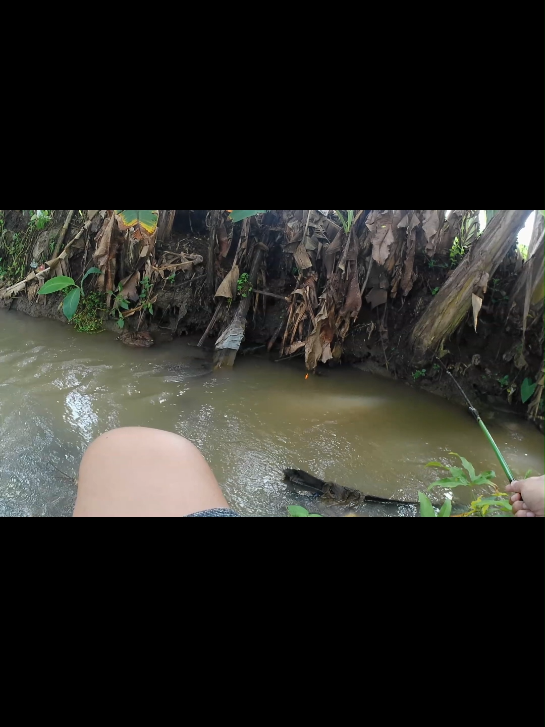 @Mancing oyy