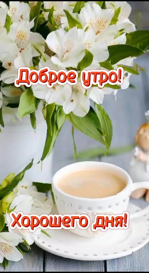 @Алина