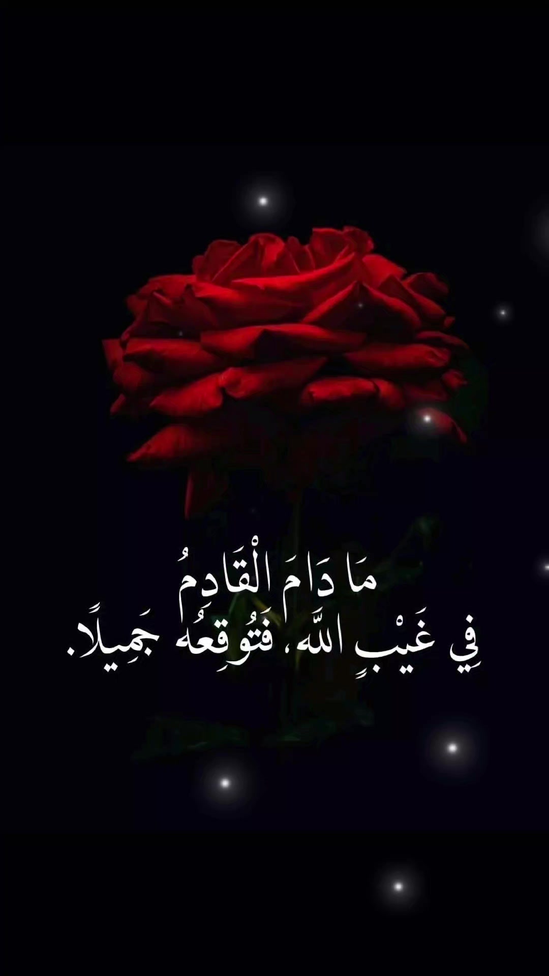 @الله أكبر🤍🤲