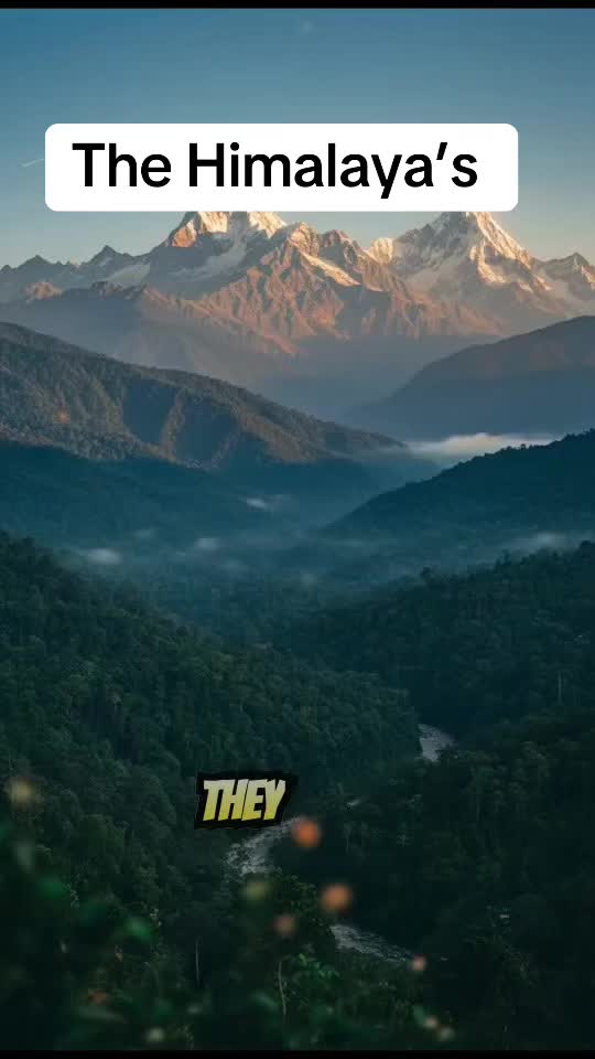 @India