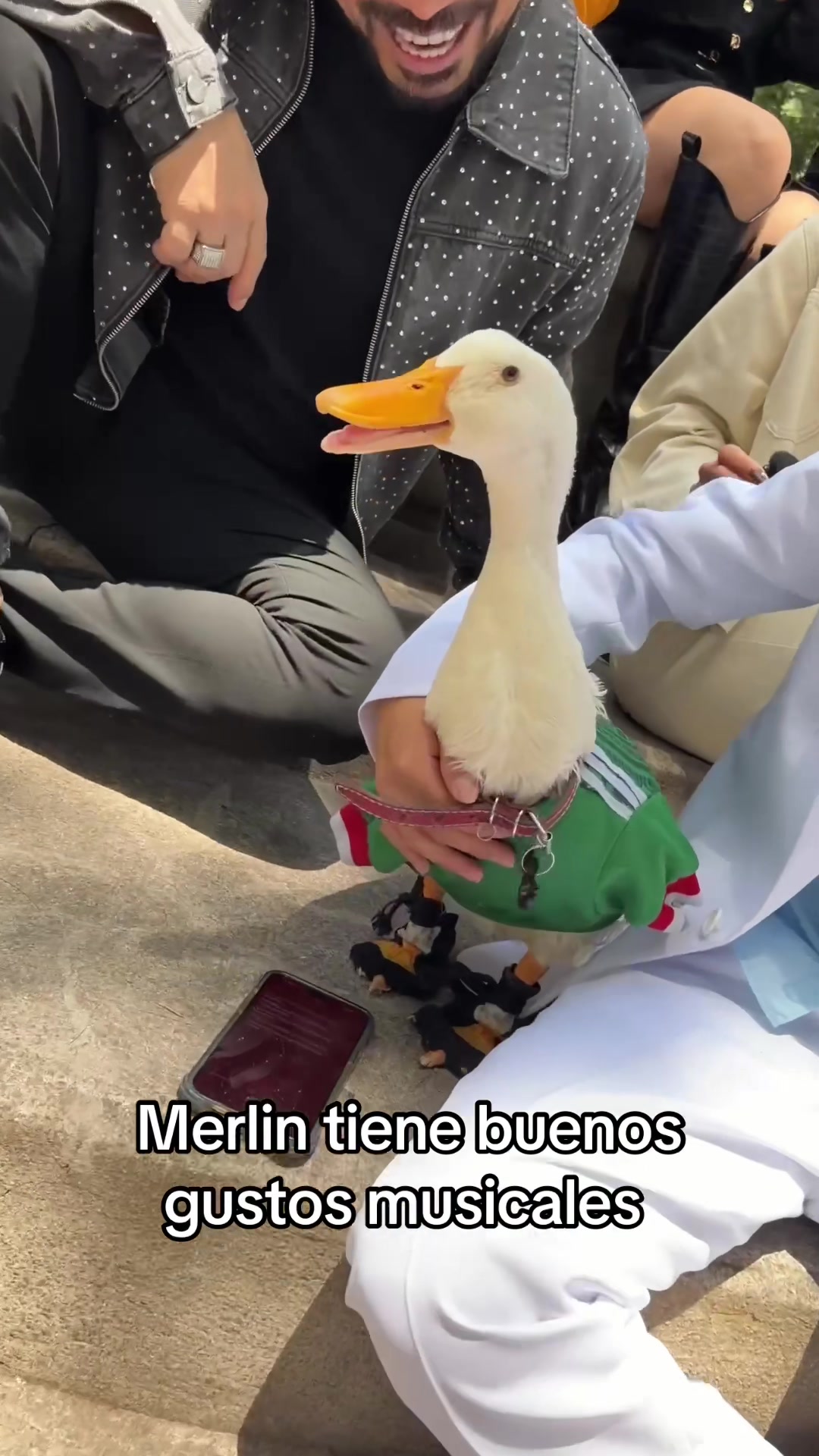 @Andy Rave